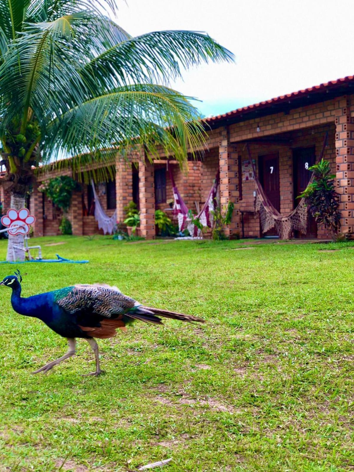 Pousada Da Bell Barreirinhas Exterior photo